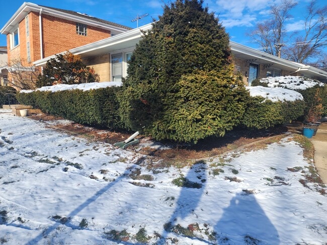 2800 Manor Ln, Unit B in Park Ridge, IL - Foto de edificio - Building Photo