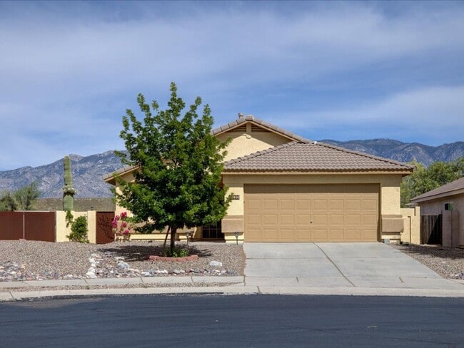 13406 N Vistoso Bluff Pl in Oro Valley, AZ - Building Photo - Building Photo