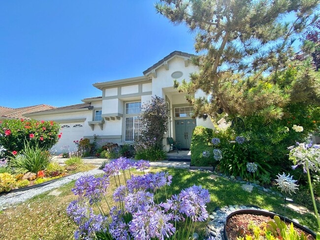 48858 Sauvignon Ct in Fremont, CA - Building Photo - Building Photo