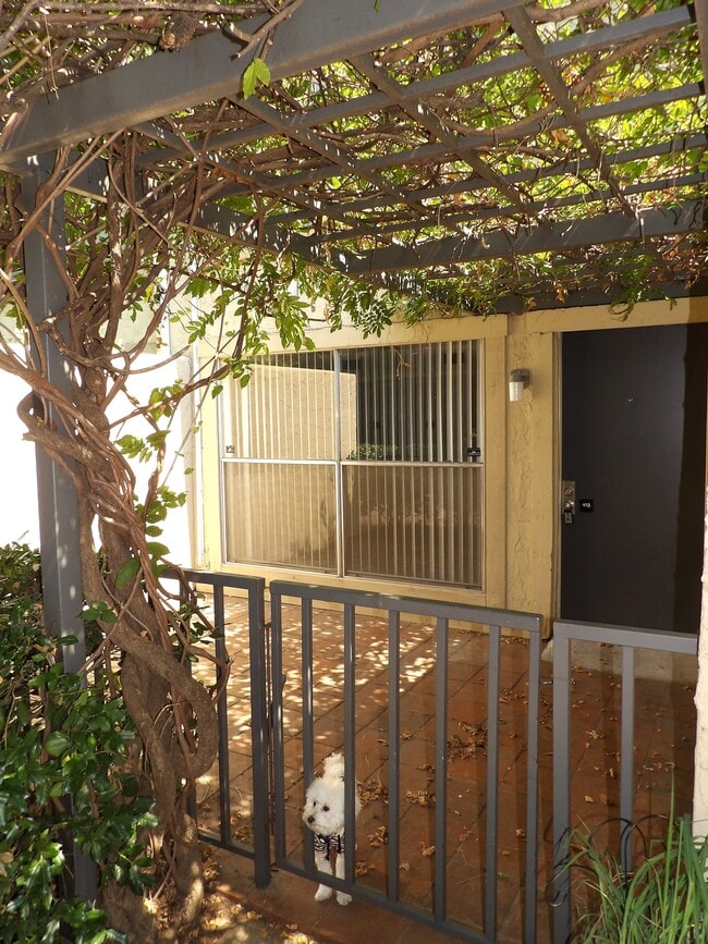 4431 Travis St in Dallas, TX - Building Photo - Building Photo