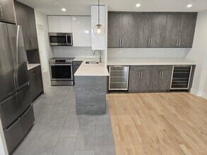 227 E Walton Pl in Chicago, IL - Building Photo - Building Photo