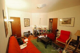 1315 Commonwealth Ave, Unit 105 in Boston, MA - Building Photo