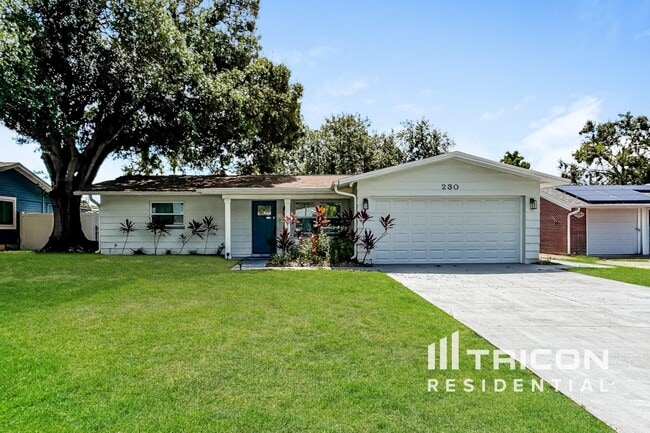 property at 230 Tralee St