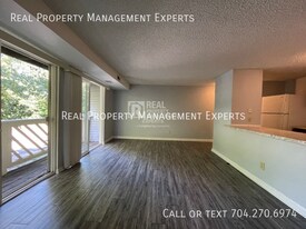 9541 Shannon Green Dr in Charlotte, NC - Building Photo