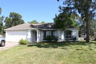 11066 Avis St in Spring Hill, FL - Building Photo