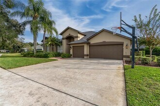 3829 Spruce Pine Dr in Valrico, FL - Building Photo - Building Photo