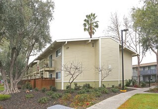 Timberwood Apartments in San Jose, CA - Building Photo - Building Photo