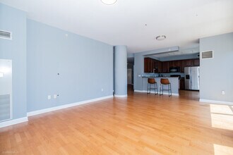233 E 13th St in Chicago, IL - Building Photo - Building Photo