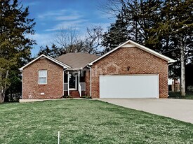 113 Buttonwood Dr in Smyrna, TN - Building Photo
