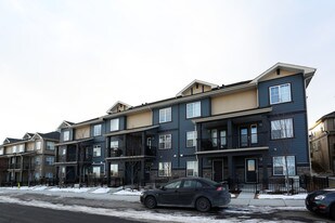 29 Evanscrest Crt NW in Calgary, AB - Building Photo