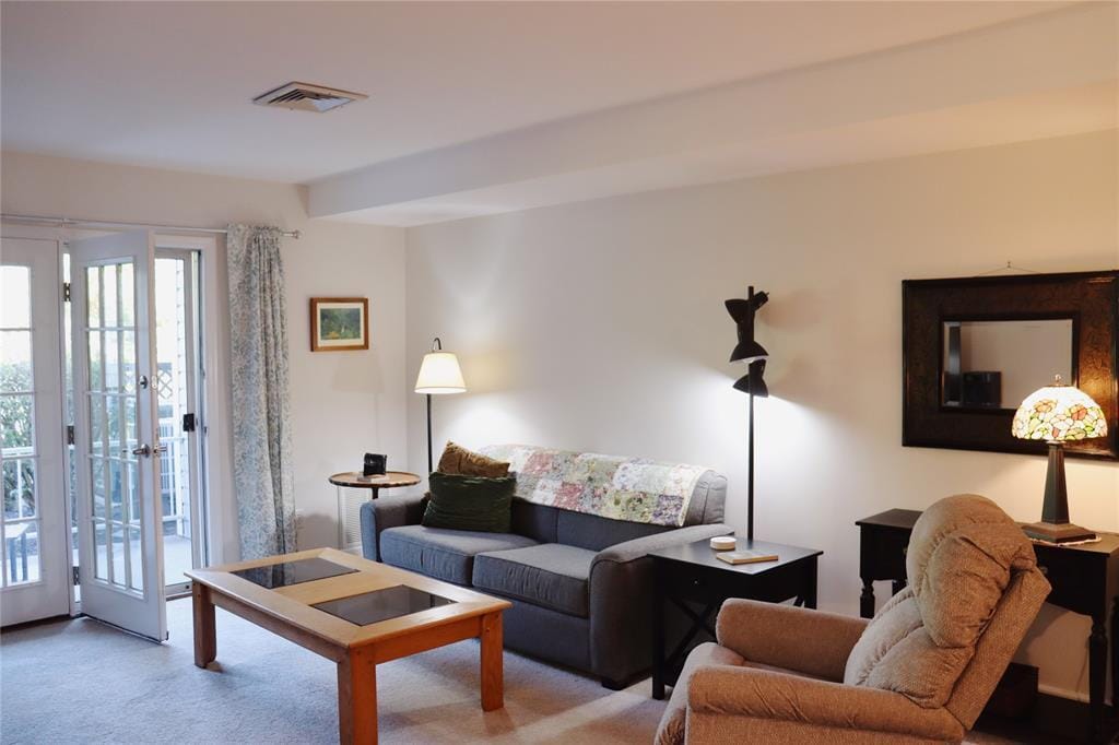 75 Tivoli Gardens in Tivoli, NY - Building Photo