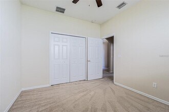 18004 Java Isle Dr in Tampa, FL - Building Photo - Building Photo