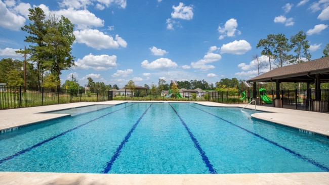 2344 Green Sturgeon Ct in Shenandoah, TX - Foto de edificio - Building Photo