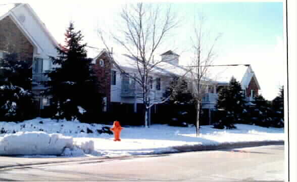 Chantecleer Lakes in Naperville, IL - Building Photo