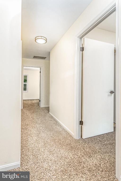 12313 Cinnamon St in Woodbridge, VA - Building Photo - Building Photo