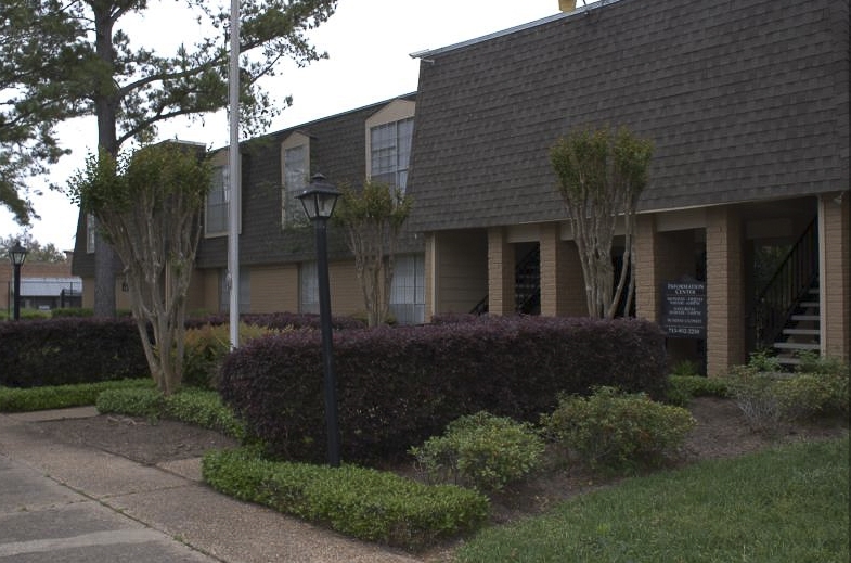 Adorable Pointe in Houston, TX - Building Photo