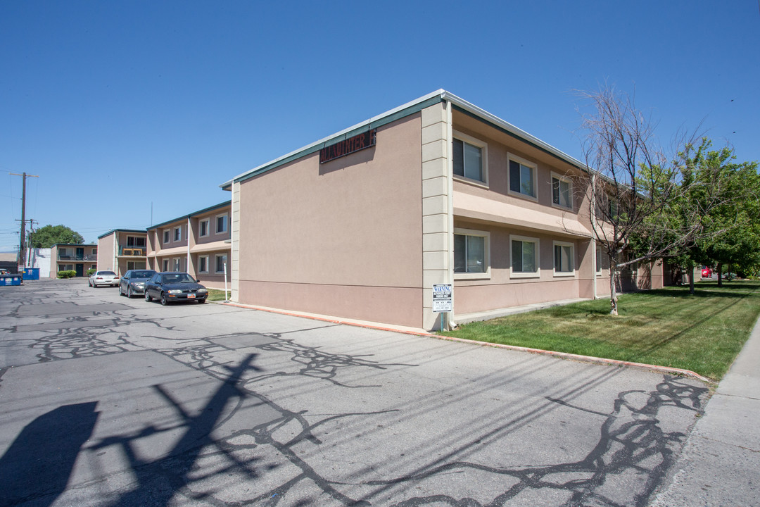 Cinamon Tree Apartments in Provo, UT - Building Photo