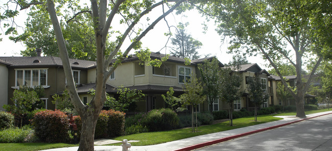 Sycamore Place in Danville, CA - Building Photo - Building Photo