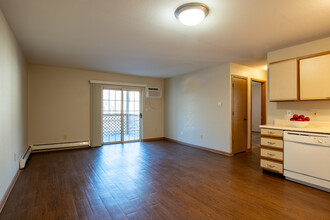 Village Green Apartments in Wayland, MI - Building Photo - Building Photo