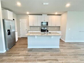 3817 Shoveler Ave in Leesburg, FL - Building Photo - Building Photo