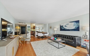 260 E Chestnut St in Chicago, IL - Building Photo - Building Photo