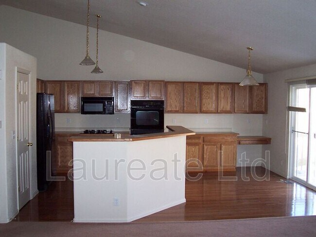 933 Quarterhorse Trail in Castle Rock, CO - Building Photo - Building Photo