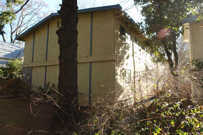 181 E 1st Ave in Chico, CA - Building Photo - Building Photo