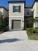 31641 Blue Passing Loop, Unit 324 in Wesley Chapel, FL - Building Photo