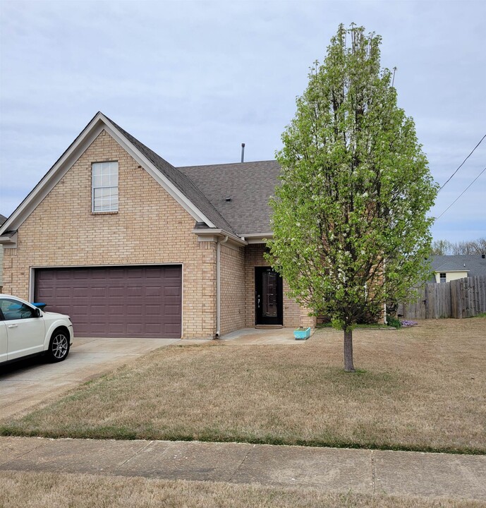 160 Hackberry Cove in Munford, TN - Building Photo