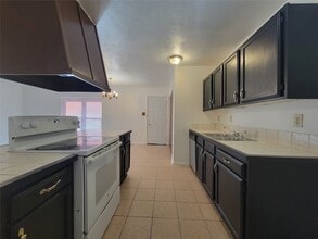 424 Green Canyon Dr, Unit 2205 in Mesquite, TX - Building Photo - Building Photo