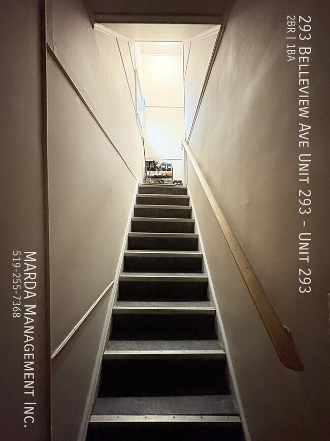 293 Belleview Ave in Windsor, ON - Building Photo - Building Photo