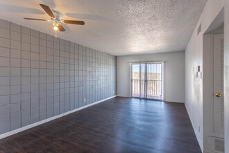 Carousel Plaza Apartments in El Paso, TX - Building Photo - Building Photo