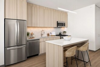 513 S Damen Ave in Chicago, IL - Building Photo - Building Photo