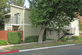 Jackson Park Place in Fresno, CA - Building Photo - Building Photo