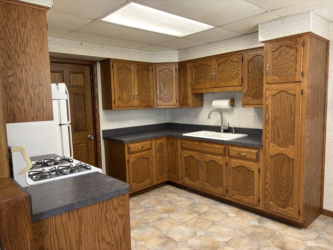 3037 Florence Ave in Steger, IL - Building Photo - Building Photo
