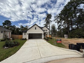 719 Campbell Xing Ct in Willis, TX - Building Photo