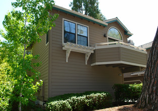 922 Dewing Ave in Lafayette, CA - Building Photo - Building Photo