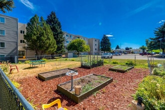 Corbitt Arms in Medicine Hat, AB - Building Photo - Building Photo