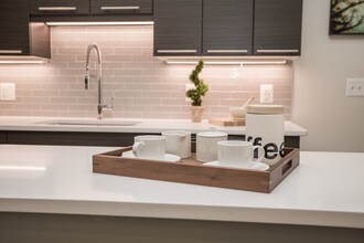 Camden Shady Grove in Rockville, MD - Foto de edificio - Interior Photo