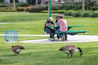 Apartments in Lake Forest, CA