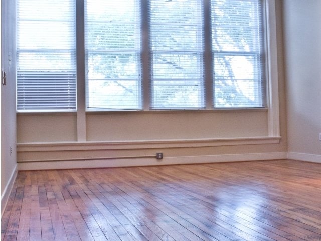 Montgomery Square Apartments in Portsmouth, VA - Foto de edificio - Interior Photo