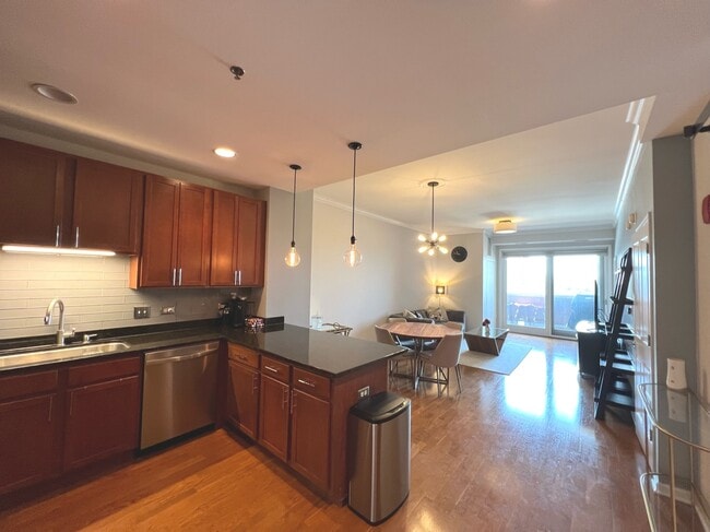 828 W Grace St in Chicago, IL - Building Photo - Building Photo