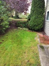 15421 SE 4th Pl in Bellevue, WA - Building Photo - Building Photo