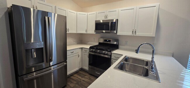 1560 Luca Ln in the Villages, FL - Building Photo - Building Photo