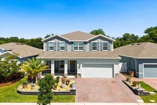 2956 Slough Creek Dr in Kissimmee, FL - Building Photo