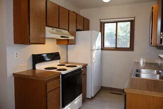 4000 Windom St in Fort Collins, CO - Foto de edificio - Building Photo