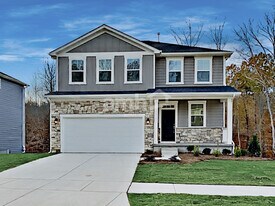 17314 Alydar Commons Ln in Charlotte, NC - Building Photo