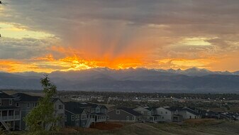 747 Raindance St in Erie, CO - Building Photo
