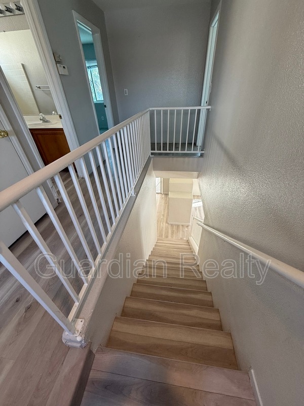 property at 10467 Lilac Tree Ave
