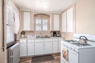 113 Clark St in Vestal, NY - Building Photo